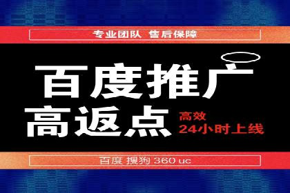 百度竞价赚钱技巧：实战案例分析